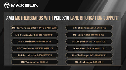 MAXSUN - MS-Intel ARC Pro B60 Dual 48G Turbo
