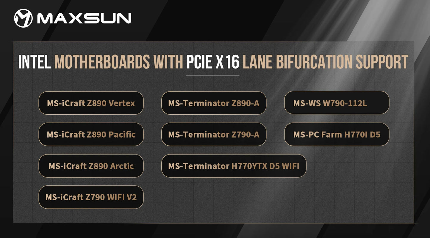 MAXSUN - MS-Intel ARC Pro B60 Dual 48G Turbo