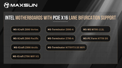 MAXSUN - MS-Intel ARC Pro B60 Dual 48G Turbo