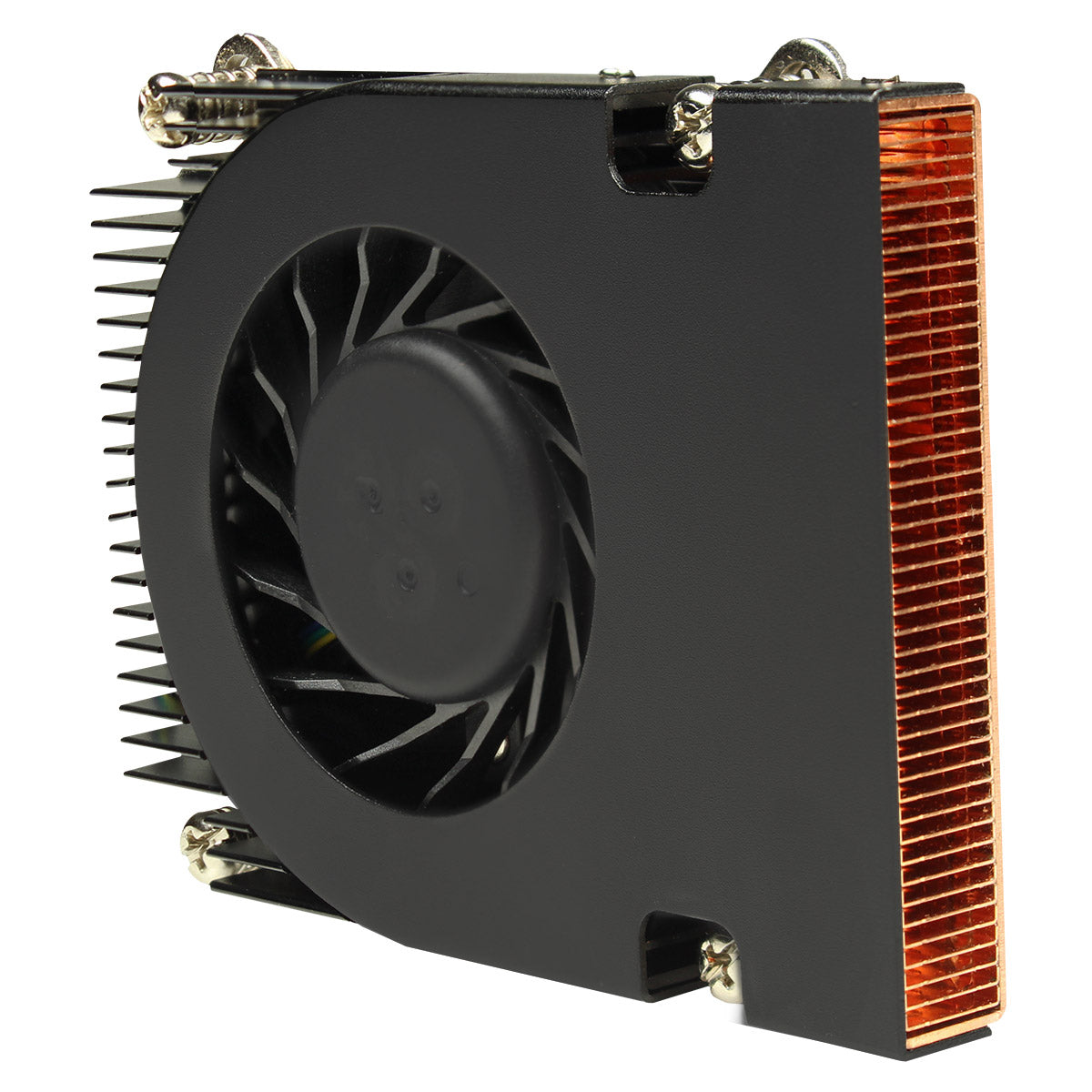 CiT N150C 1 Litre USB Type C Ultra-Thin Mini-ITX Computer Case With 120W Laptop Adpater CPU Cooler WIFI Antenna 5cm Included - Destello