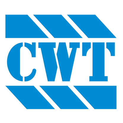 CWT 650W Modular 80 Plus Gold SFX Power Supply With 80mm Black Fan - Destello
